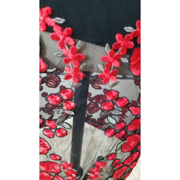 SOLD Sworn to Secrecy mesh &rose detail dress - Picture 6 of 8